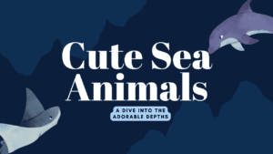 Cute Sea Animals