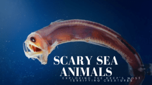 Scary Sea Animals