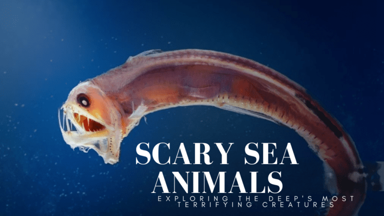 Scary Sea Animals