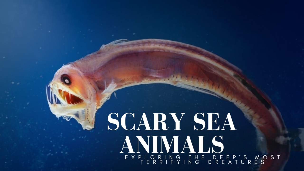 Scary Sea Animals