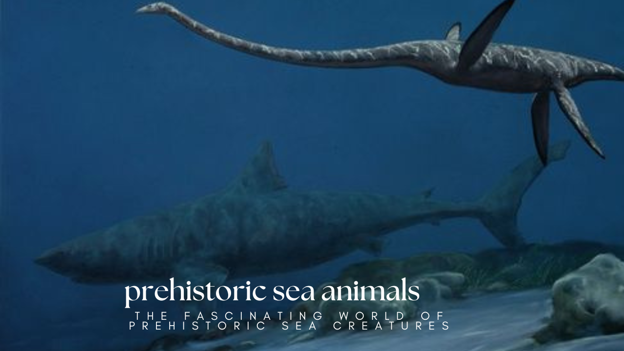 Prehistoric Sea Animals