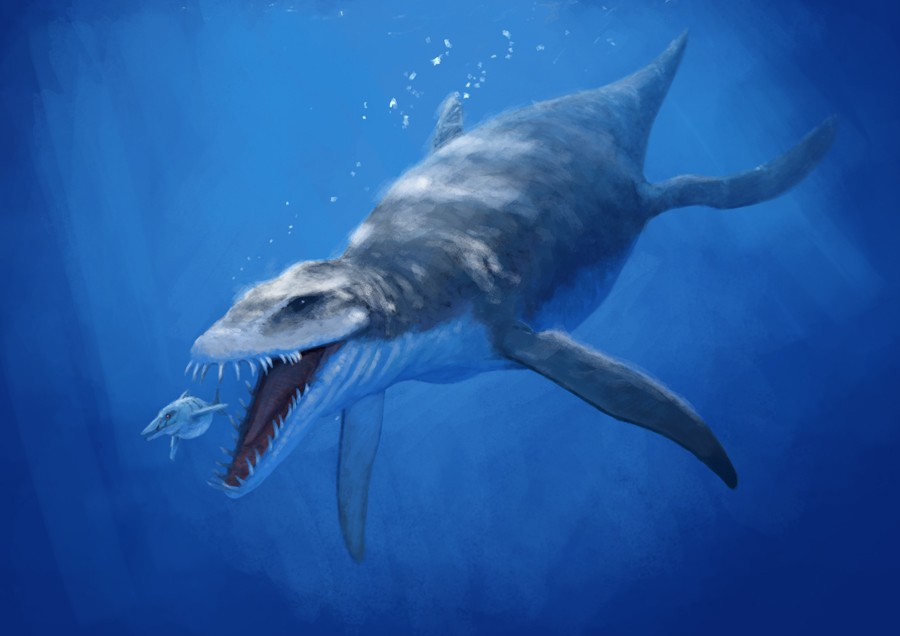 Prehistoric Sea Animals